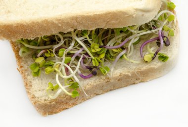 Turp lahanası ile ekmek