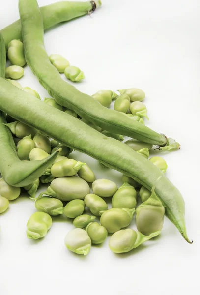 Raw beans — Stock Photo, Image