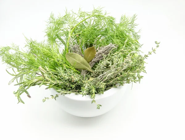 Vielfalt an frischen aromatischen Kräutern — Stockfoto