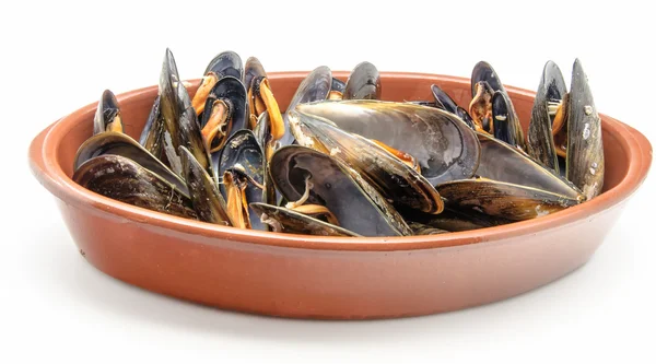 Cozze — Foto Stock