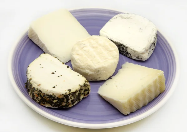 Kozí sýr — Stock fotografie