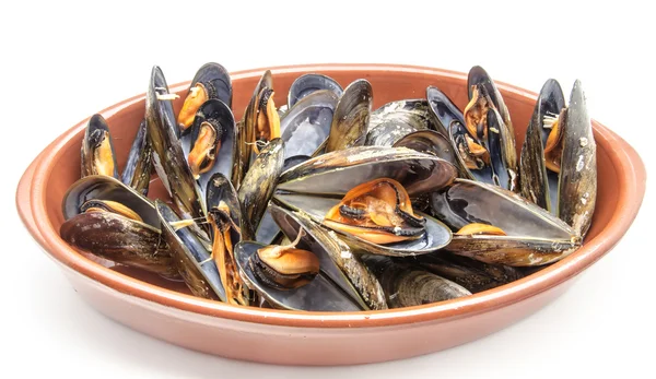 Mejillones —  Fotos de Stock