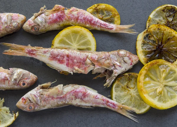 Mullet grilled — Stock Photo, Image