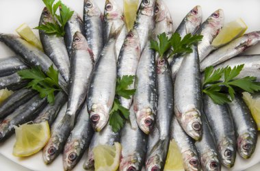 Fresh sardines clipart