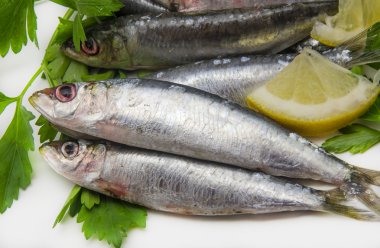 Fresh sardines clipart