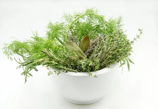 Variedad de hierbas aromáticas frescas — Foto de Stock