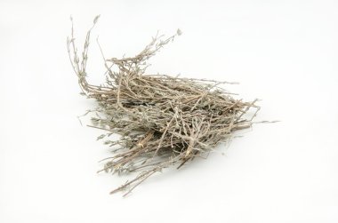 Taze aromatik otlar çeşitli