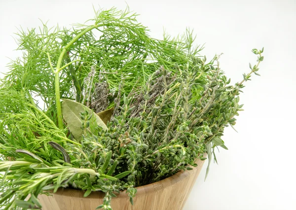 Variedad de hierbas aromáticas frescas — Foto de Stock