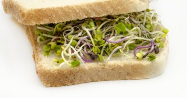 Turp lahanası ile ekmek