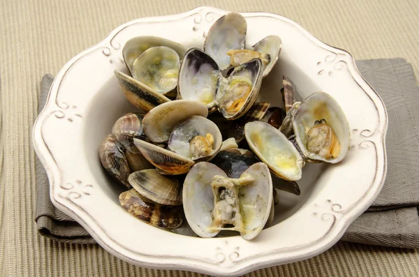 Vongole — Foto Stock