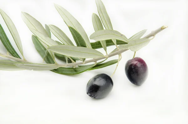 Olives — Stock Photo, Image