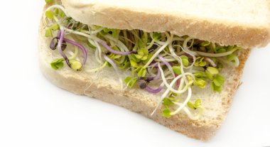 Turp lahanası ile ekmek