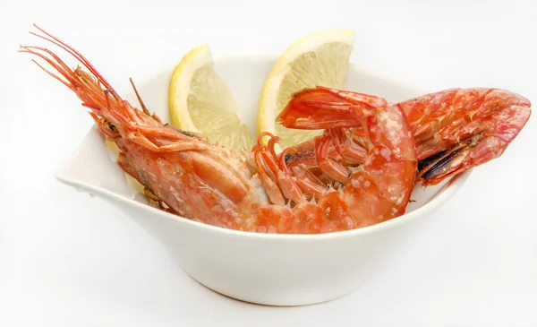 Shrimp — Stock Photo, Image