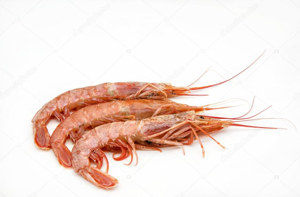 various grilled shrimp surrounded by white background — 图库