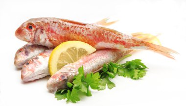 Fresh red mullet clipart