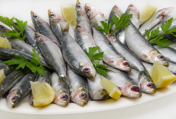 Sardine fresche — Foto Stock