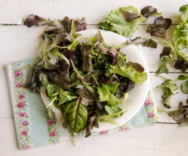 yeşil sebze salata