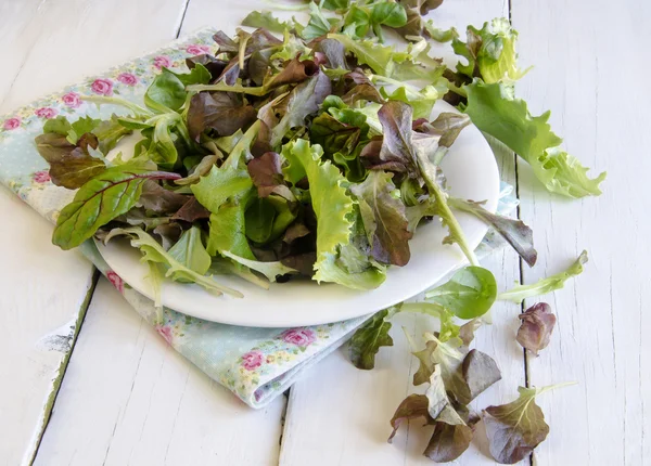 Verduras de ensalada vegetal — Foto de Stock