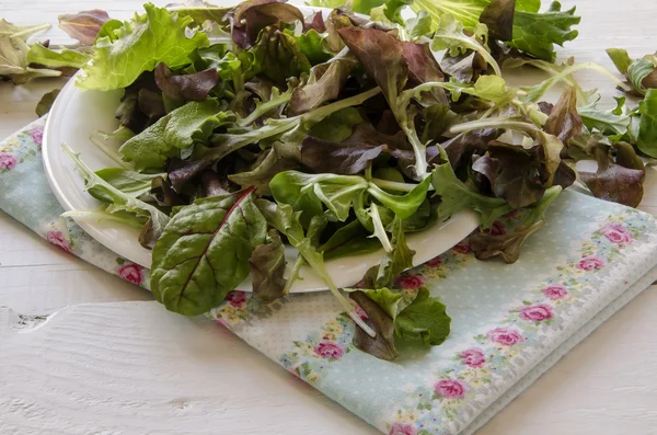 Verduras de ensalada vegetal — Foto de Stock