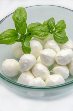 mozzarella peyniri