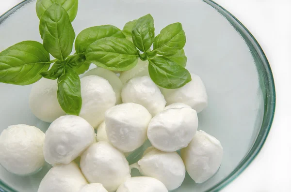 Ser mozzarella — Zdjęcie stockowe