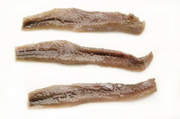 Anchovies — Stock Photo, Image