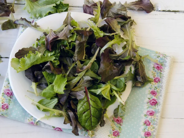 Verduras de ensalada vegetal — Foto de Stock