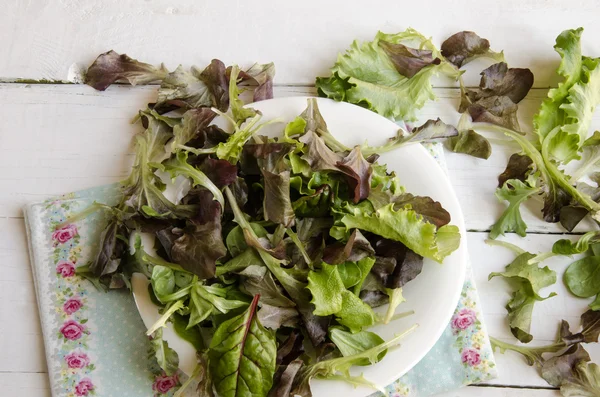 Zeleninový salát greeny — Stock fotografie