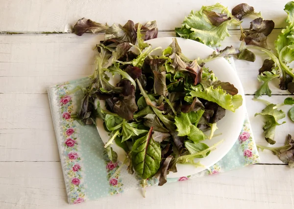 Zeleninový salát greeny — Stock fotografie