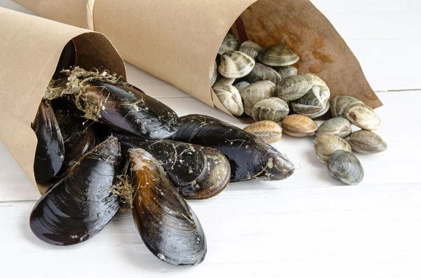 Mussels in the shell — Stock Photo, Image