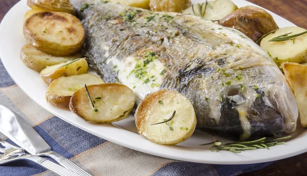 Baked fish — Stock Photo, Image