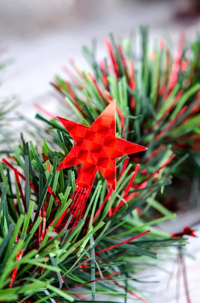 Pine takken plant — Stockfoto