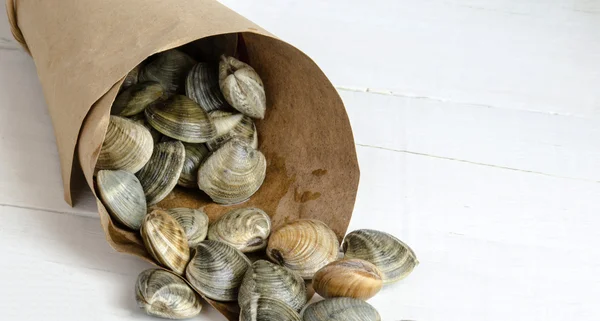 Vongole con aglio servite su un piatto — Foto Stock