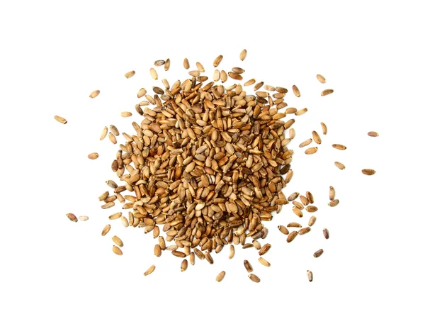 Silybum marianum izole.