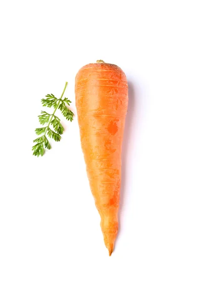 Carrot with leaves isolated. — Stock Photo, Image