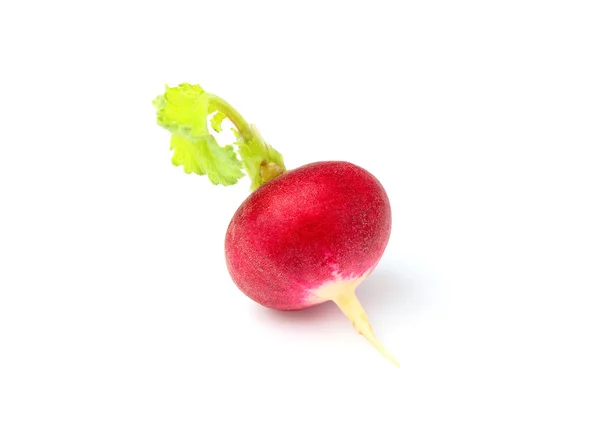 Fresh radish isolated closeup. — Stock Photo, Image