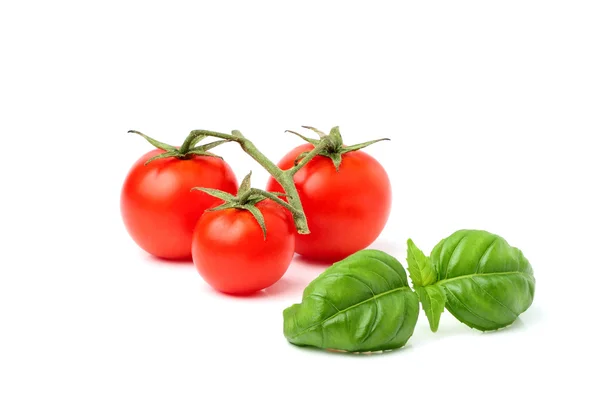 Tomates cereja com um raminho de manjericão . — Fotografia de Stock