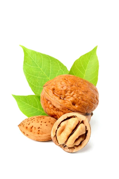 Nueces y almendras aisladas . — Foto de Stock