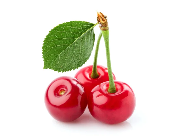 Cherry with leaf. — Stock Photo, Image