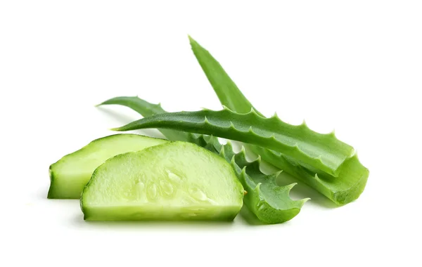 Aloe en komkommer. — Stockfoto