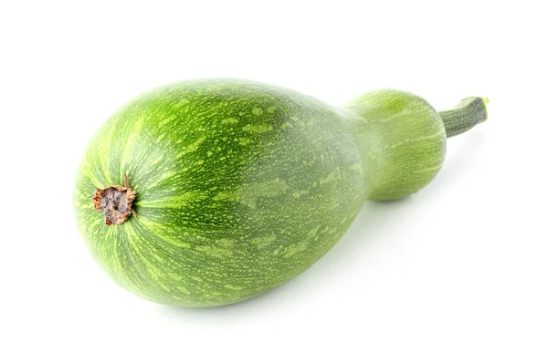 Märg, squash, zucchini, zucchini. — Stockfoto