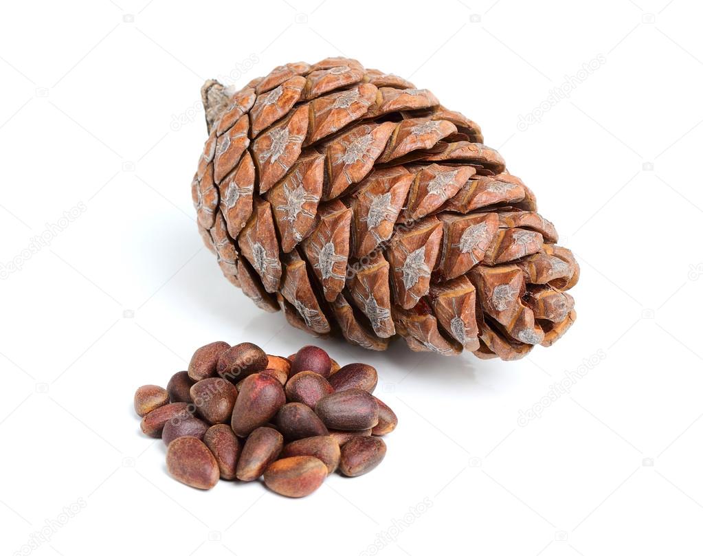 Pinecone with pine nuts.