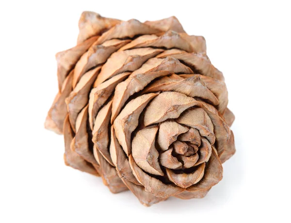 Süper çam fıstığı.