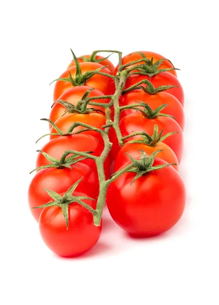 Tomatenzweig mit Kirsche. — Stockfoto