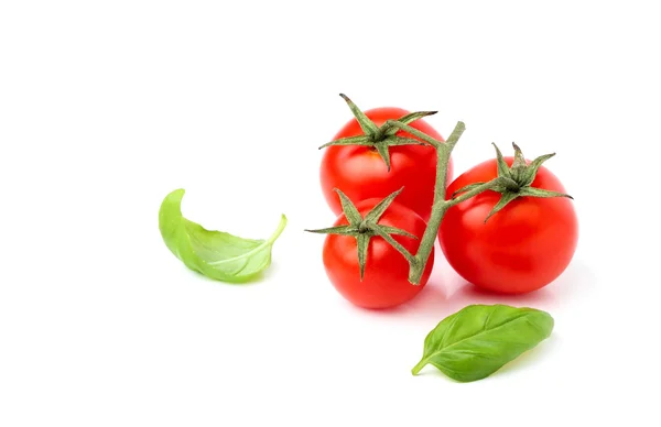 Pomodori ciliegia con foglie di basilico . — Foto Stock