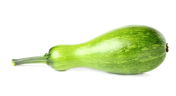 Marrow, squash,courgette,zucchini. — Stock Photo, Image