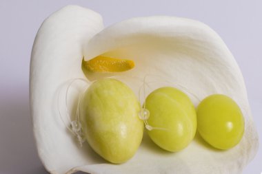 Jade yumurta yalan üzerine beyaz bir çiçek