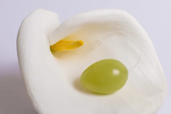 Jade yumurta yalan üzerine beyaz bir çiçek