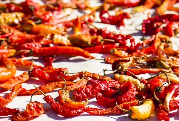 Sušení pikantní paprika — Stock fotografie