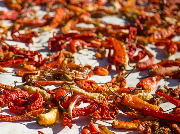 Peperoncino essiccato al sole — Foto Stock